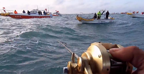 浙江四勇士駕橡皮艇海釣，三小時收獲價值四萬四大黃魚