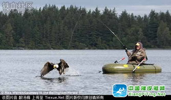 禿鷹突襲釣魚艇，男子荒野歷險記